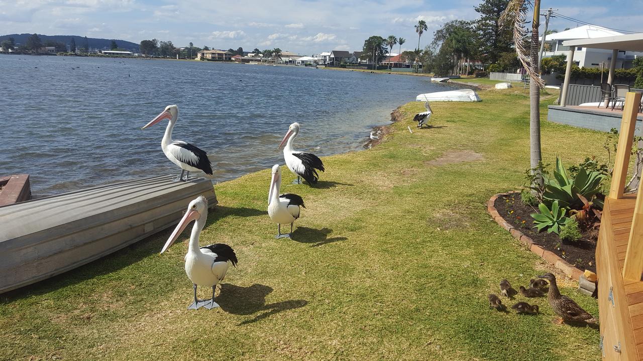 Lakeside Bungalow Marks Point ภายนอก รูปภาพ